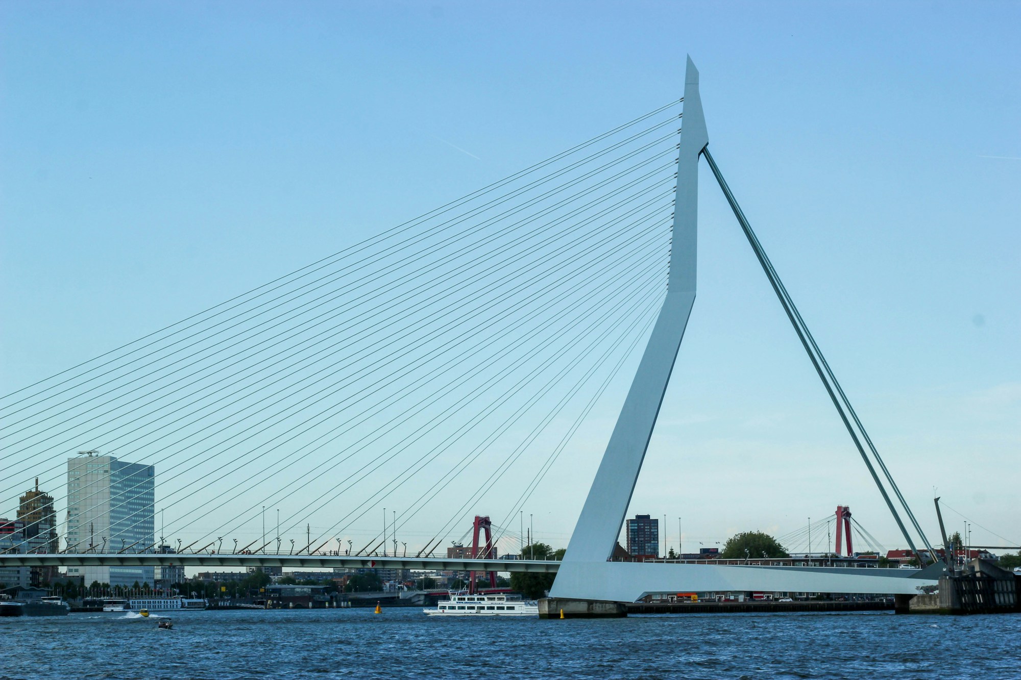 De Erasmusbrug over de Maas in Rotterdam